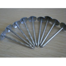 decorative roofing nails with umbrella head Smooth or Twisted See larger image